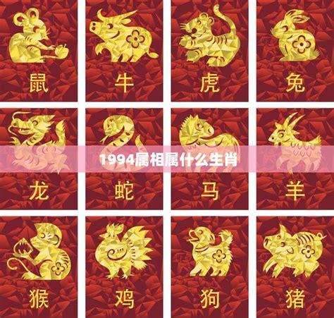 94年属|1994年属什么生肖